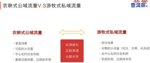 集思益白茶官网：了解产品、价格与交易平台