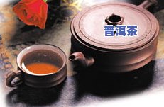 一两茶叶可以泡几杯-一两茶叶可以泡几杯茶