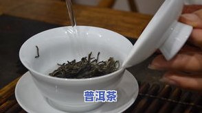 昙花普洱茶-昙花 泡茶