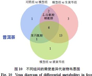 普洱茶鼻炎：改善效果、适用性及风险全解析