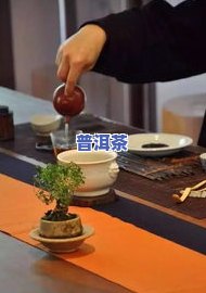 鼻炎患者能喝普洱茶吗女性-鼻炎患者能喝普洱茶吗女性