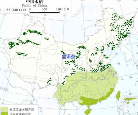 腾冲茶叶产区：分布、种类与地理概况