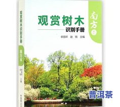 茶叶：草本还是树本？探讨其本质属性