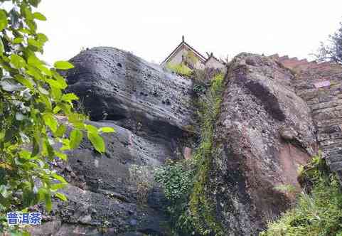 景谷大石寺普洱茶：价格、口感与地理位置全解析