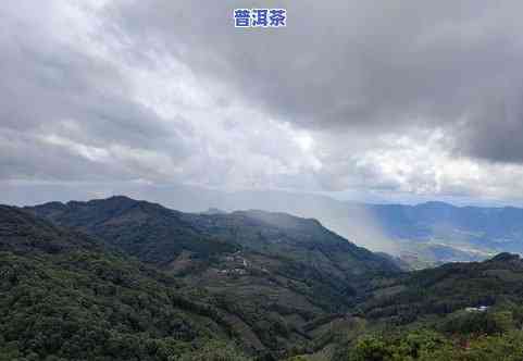 景谷大石寺普洱茶：价格、口感与地理位置全解析