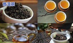 滇南古韵的茶怎么样？品尝云南特色茶叶的好去处——滇南古韵茶业