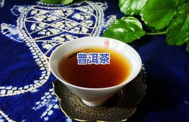 云沧号普洱熟茶-沧元号普洱茶价位