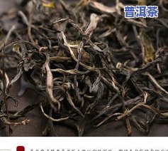 千家寨普洱茶什么口感好喝？特点及价格解析