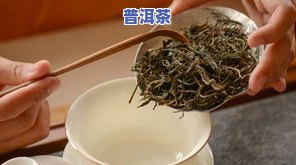 请问春茶和秋茶的更大特点分别是什么？