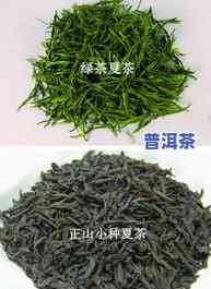 请问春茶和秋茶的更大特点分别是什么？