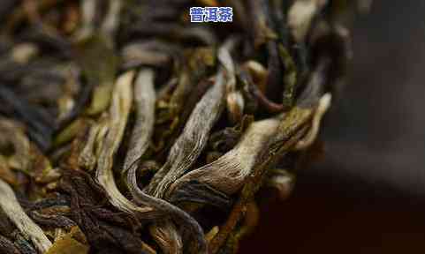 普洱茶树特点详解：种类、特性全面解析