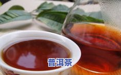 普洱茶的几种茶树外形特征-普洱茶的几种茶树外形特征图片