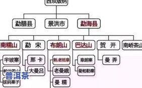 普洱茶的排名顺序：详细解析与图片展示