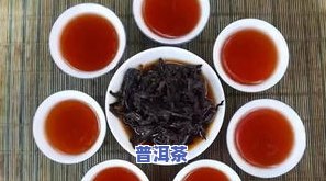 普洱茶的简介怎么写：详细解读古老茶种的历史、制作与品尝方法