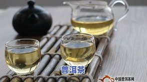 什么普洱茶适于存放在冰箱-什么普洱茶适于存放在冰箱里