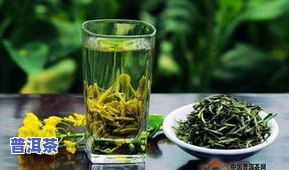 绿茶跟普洱茶有啥区別-绿茶跟普洱茶有啥区别呢