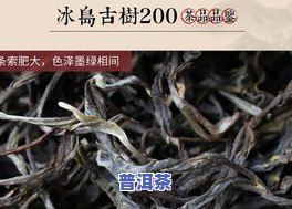 古树普洱茶冰岛是什么茶？功效、价格全解析