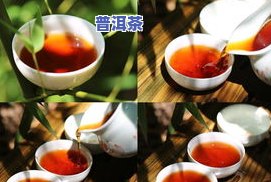 冰岛老寨普洱茶：是生普还是熟普？价格几万一公斤？