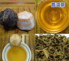 云南普洱茶功效-云南普洱茶功效与作用点