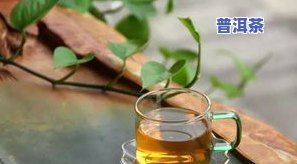 为什么下雨天泡普洱茶不香？喝茶有讲究，下雨天适合喝什么茶？