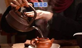 普洱熟茶更佳冲泡温度是多少？