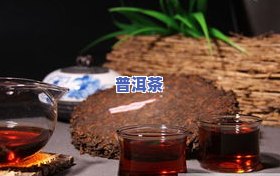 昆明平价普洱茶有哪些好品种？