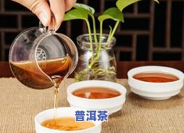 昆明平价普洱茶产地及介绍