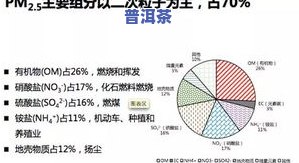 普洱茶的涩感：形成、转化与消失的时间探讨