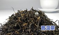 龙陵县普洱茶有樟香味-普洱茶樟香味怎么得来