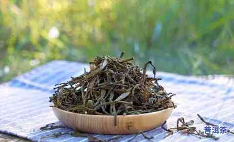 龙陵县普洱茶有樟香味-普洱茶樟香味怎么得来