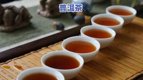 云南普洱茶介绍词：深度解读名茶之魅力