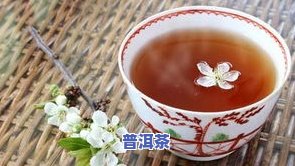 帝泊洱和普洱茶的功效-帝泊洱和普洱茶的功效一样吗