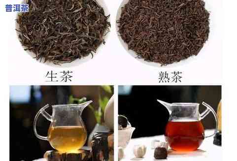 怎样分熟和生的普洱茶-怎样分熟和生的普洱茶的区别