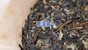 喝了普洱茶没食欲：原因、解决办法与正常性解析