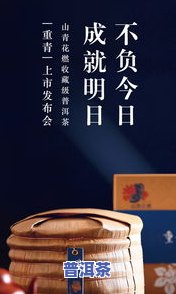 普洱茶的价值介绍：深度解析与全面探讨