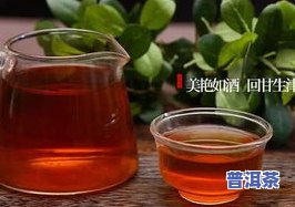 熟普洱茶的功效、作用、禁忌与副作用全解析