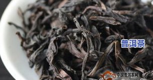 苦丁茶和茶叶有何区别？了解两者间的不同之处