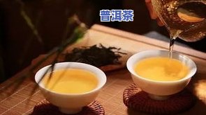 普洱茶的功效全解析：从百科到图片，一文带你了解