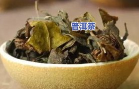 普洱茶配什么养胃？效果更好的搭配方法解析