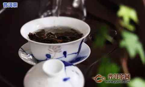 熟普洱茶的泡发：蒸汽还是水蒸？哪种方法更好？