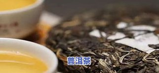 云南易武普洱茶特点介绍：产地、口感、价格全解析