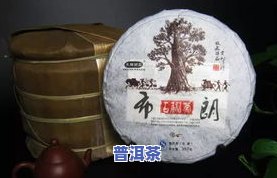 普洱茶饼的金印是什么-普洱茶饼的金印是什么颜色