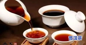 普洱茶冲泡步骤-普洱茶冲泡步骤说明