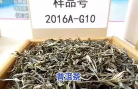 普洱茶大赛-普洱茶比赛