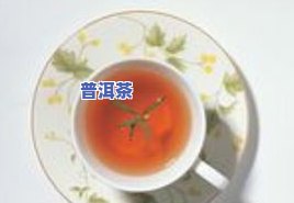 普洱乌龙茶是什么茶？探讨其类别与归属