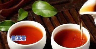 三亚普洱茶专卖店：地址、电话及推荐茶叶