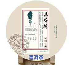 探究勐海普洱茶的特点及口感，一探究竟