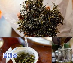 曼松普洱茶多少钱一两正宗-曼松普洱茶多少钱一两正宗的