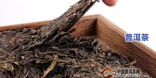 几斤毛茶出一斤普洱茶？深入了解制作过程与比例