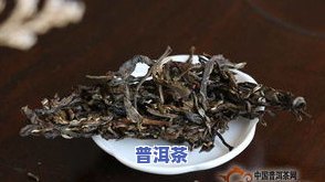 几斤毛茶出一斤普洱茶？深入了解制作过程与比例